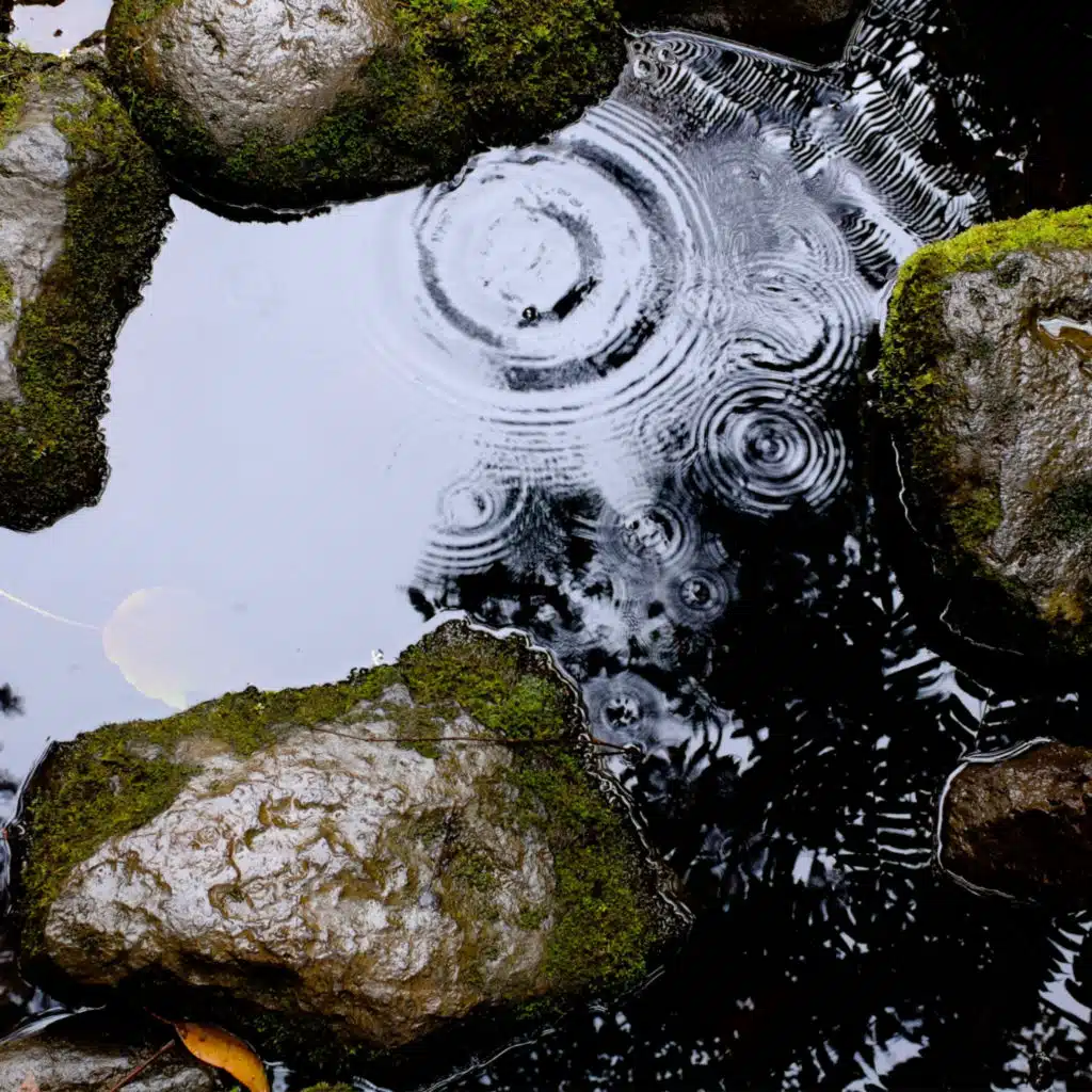 Gentle Ambient Rain Sounds