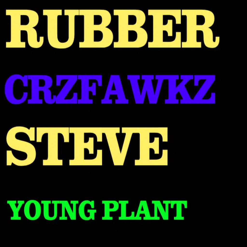 Rubber Steve