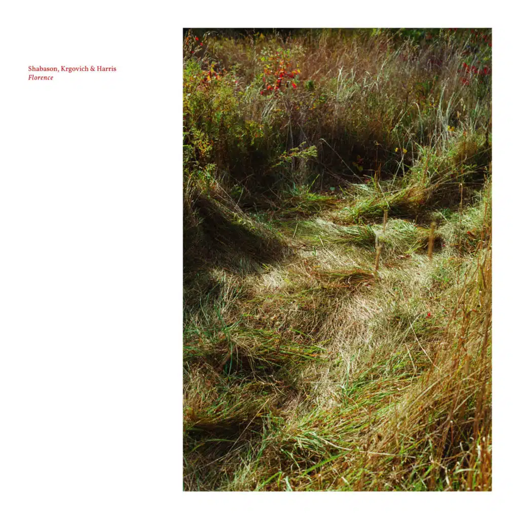 Shabason, Krgovich & Harris