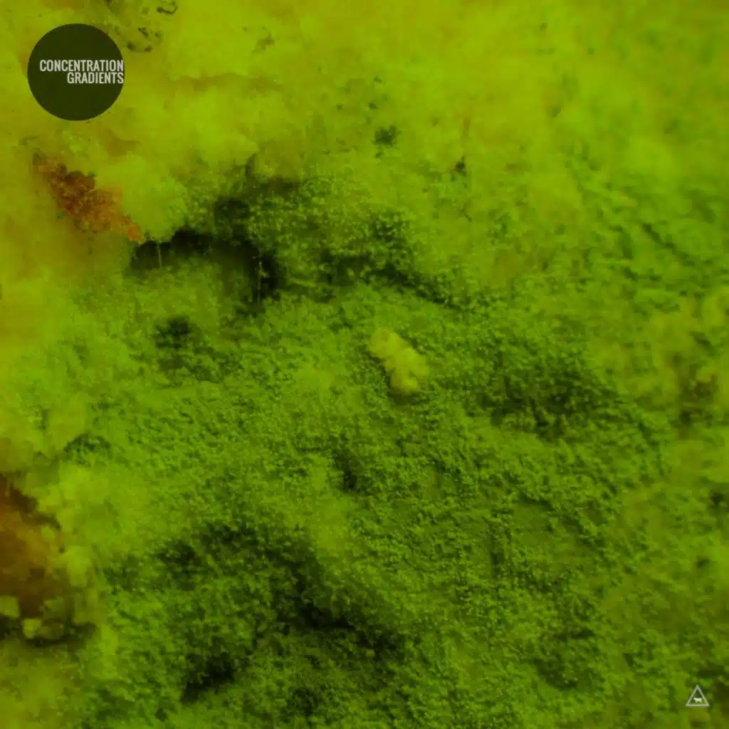 Concentration Gradients