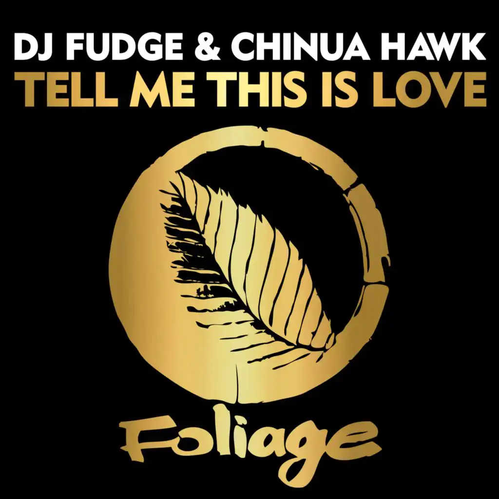 Tell Me This Is Love (Vocal Mix Edit)