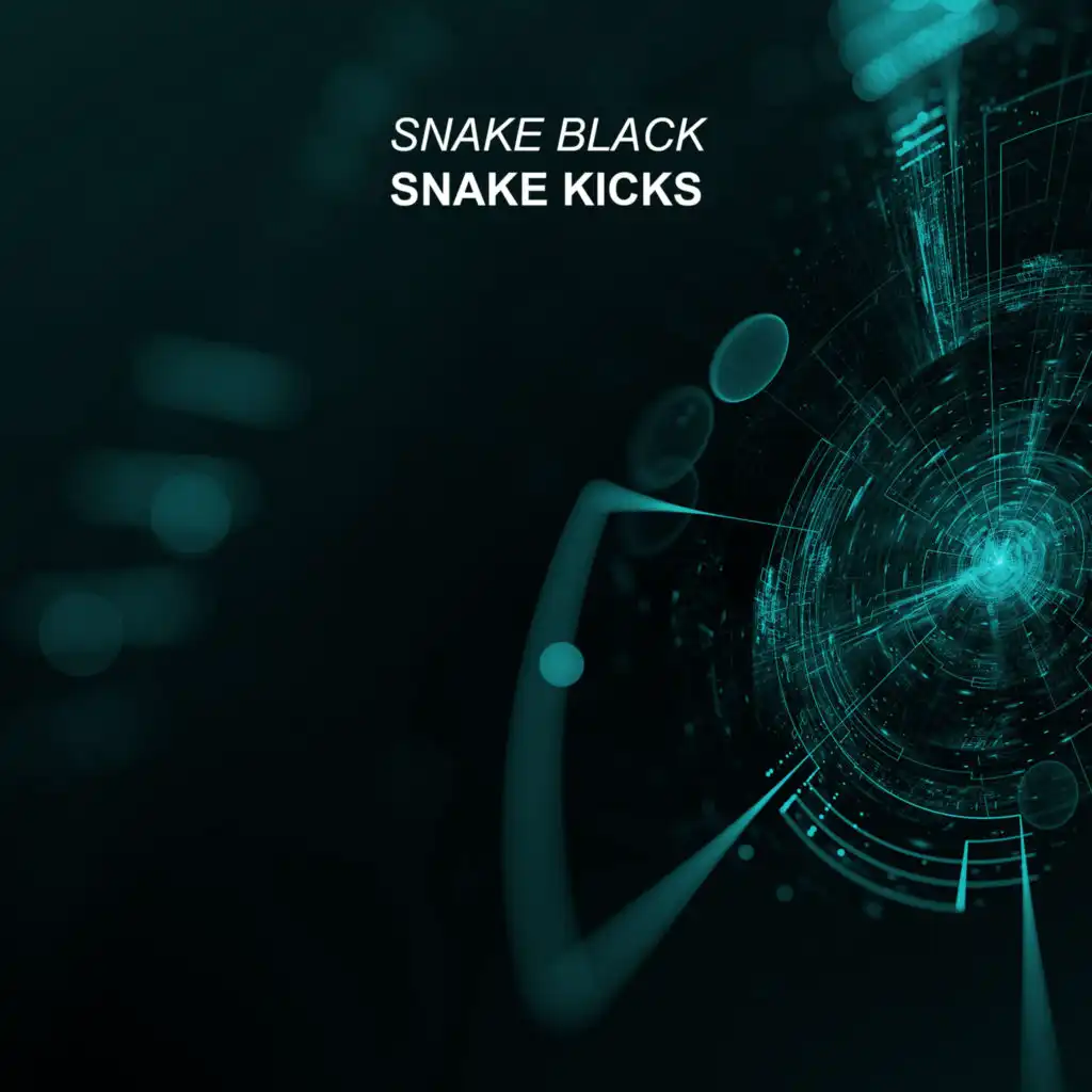 Snake Kicks