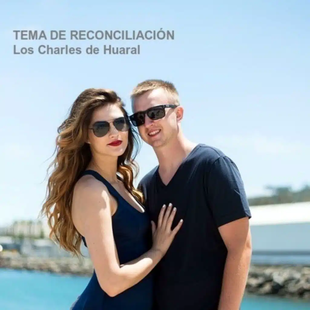 Tema de Reconciliación