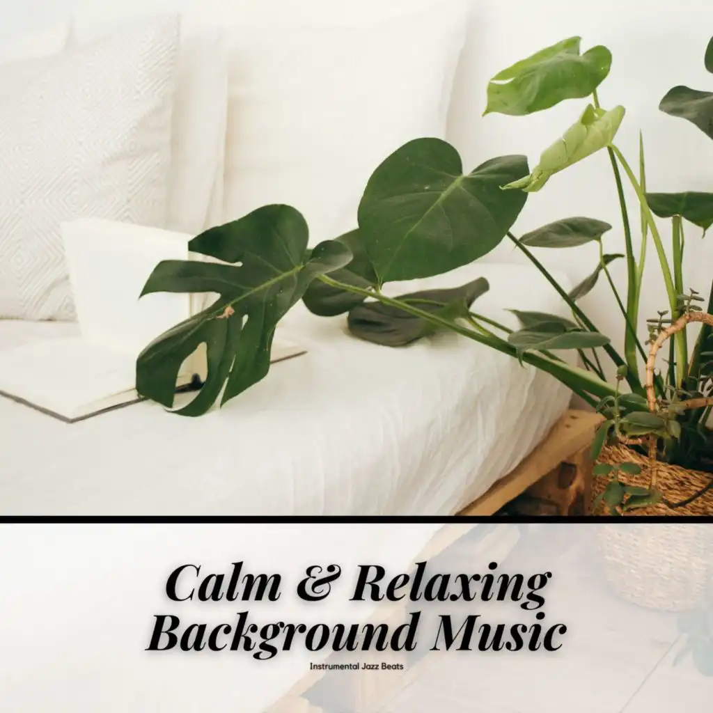 Calm & Relaxing Background Music