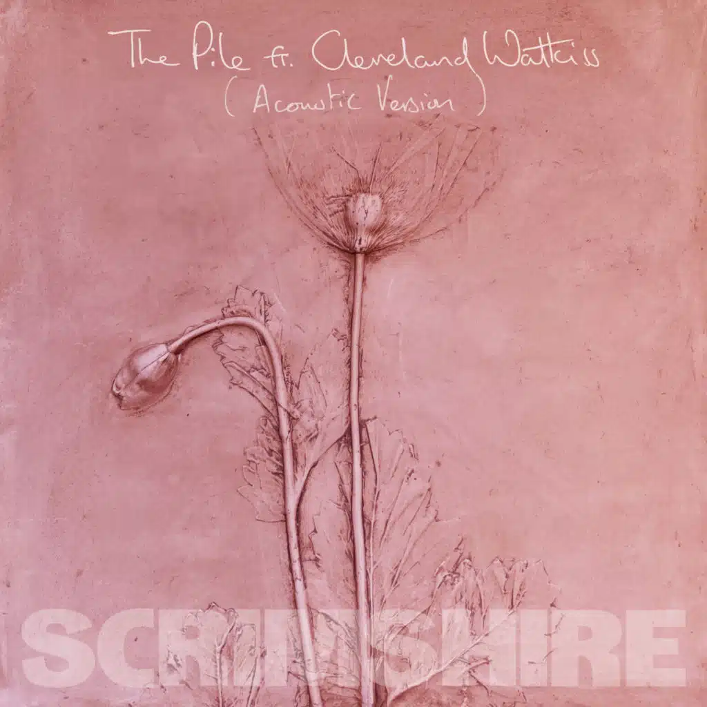 The Pile (Acoustic Version) [feat. Cleveland Watkiss]