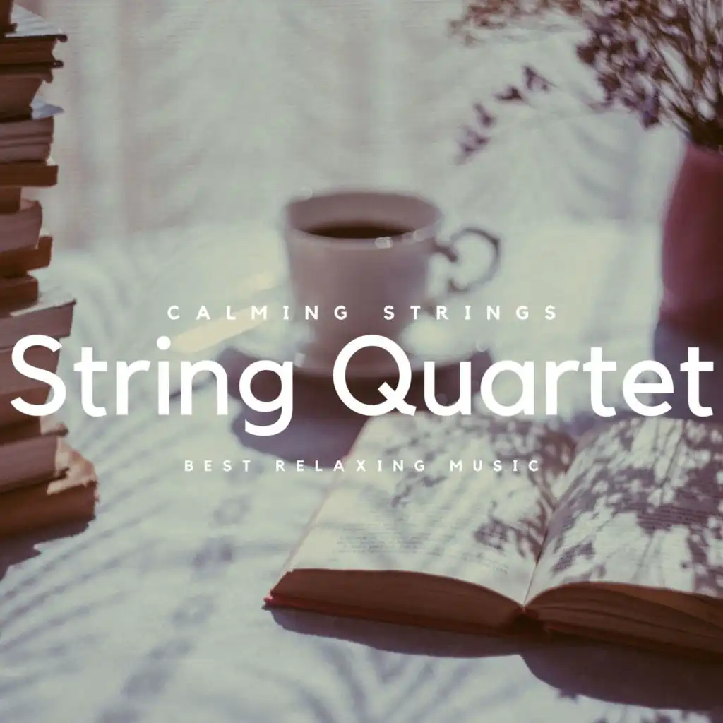 String Quartet, Best Relaxing Music