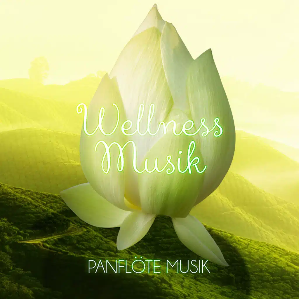 Wellness Spa Musik
