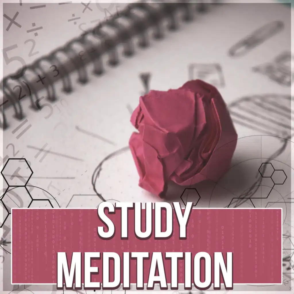 Study Meditation