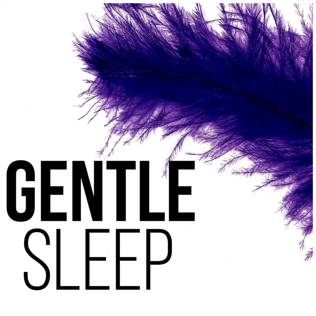 Gentle Sleep – Therapy New Age, Restful Sleep, Calming Music, Background Music, Dream Sleep