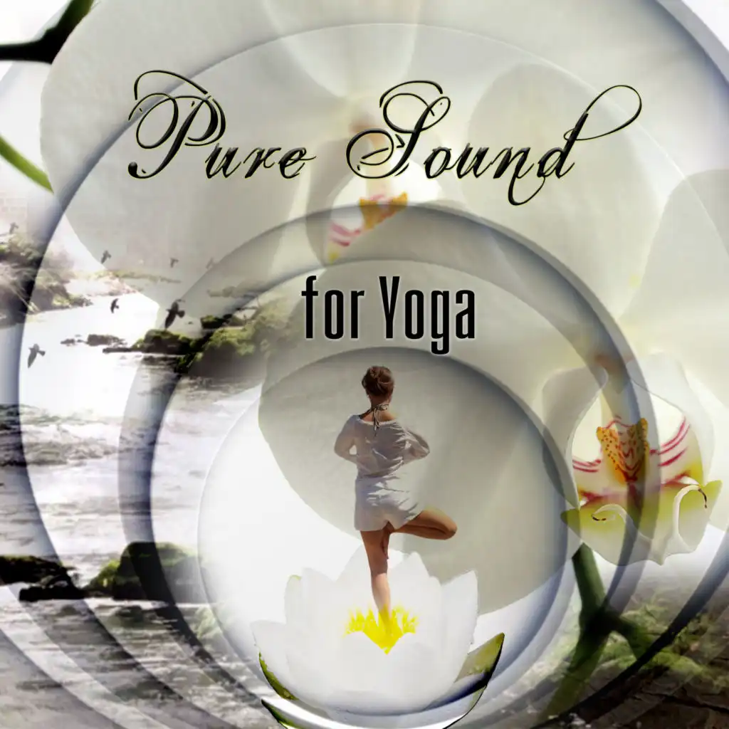 Pure Sound for Yoga - Pure Yoga for Life with Background Music, Sounds of Nature for Reduce Stress, Yoga for Beginners, Deep Zen Meditation & Well Being