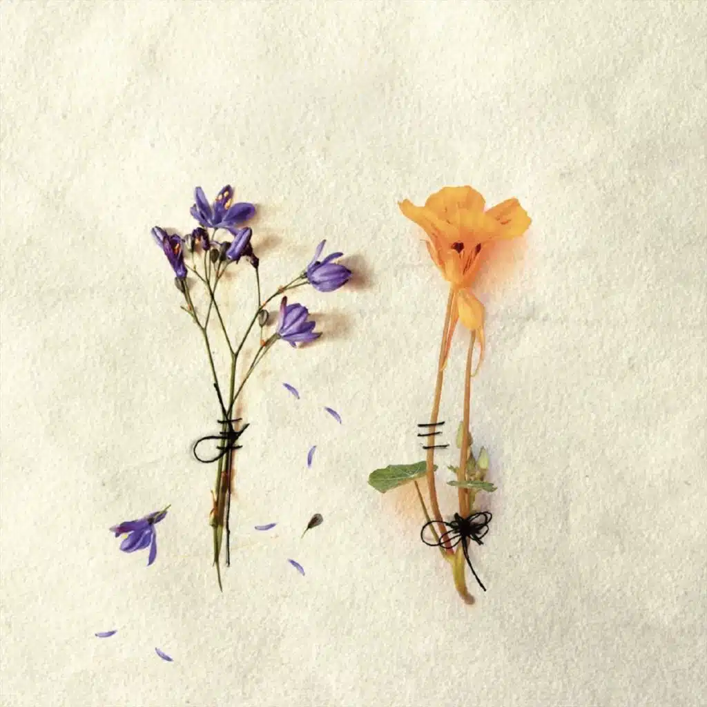 Que Vuelva la Primavera