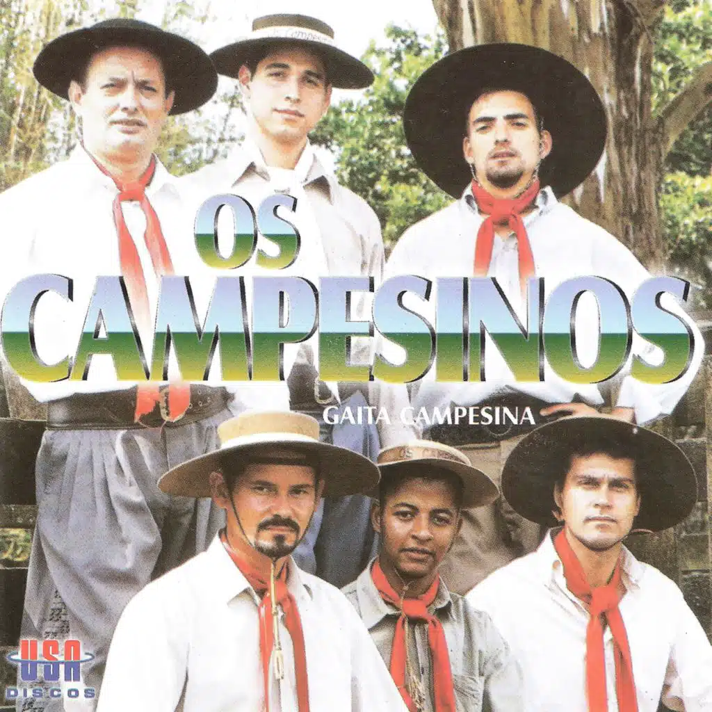 GAITA CAMPESINA