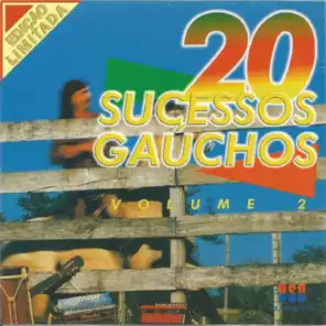 20 Sucessos Gaúchos, Vol. 2