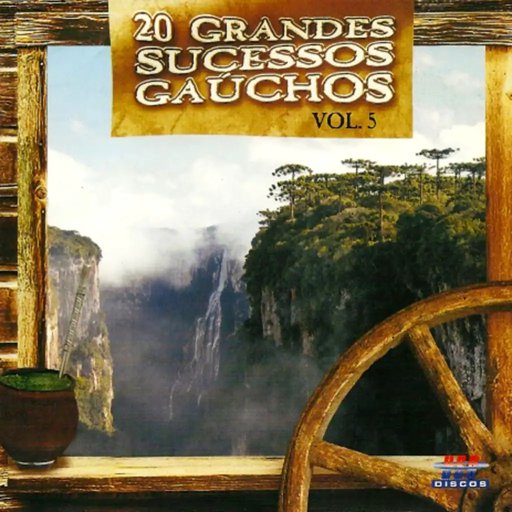 20 Grandes Sucessos Gaúchos  Vol. 5