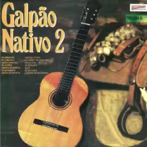 Galpão Nativo  Vol. 2