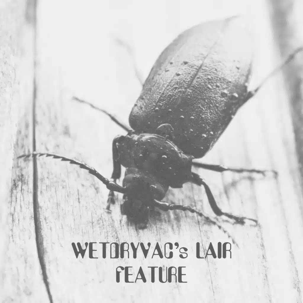 Wetdryvac's Lair