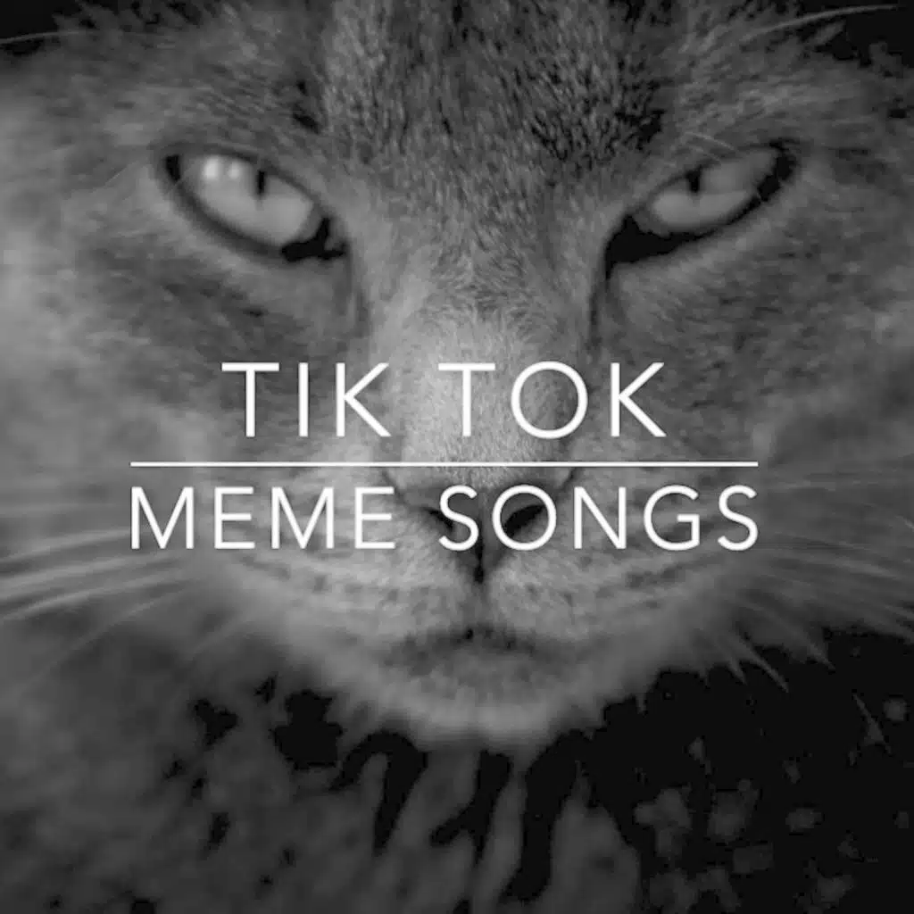 Tik Tok Meme Songs