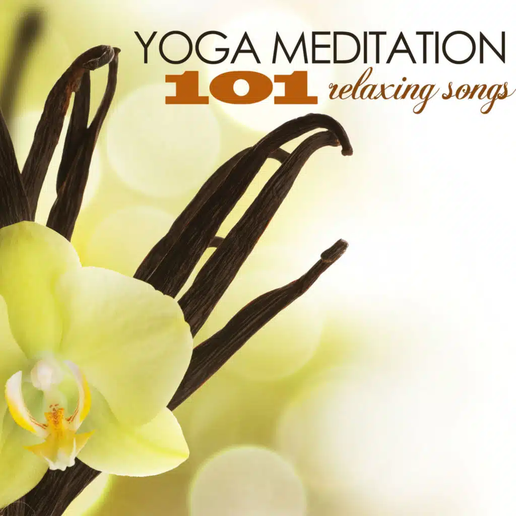 Mindfulness Exercises