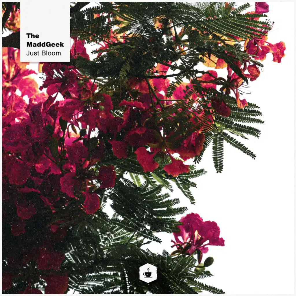 Let's Treasure Today