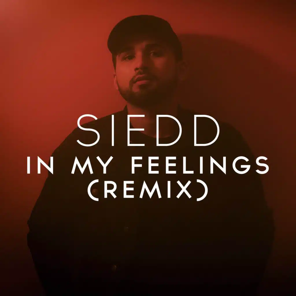 In My Feelings (Remix)