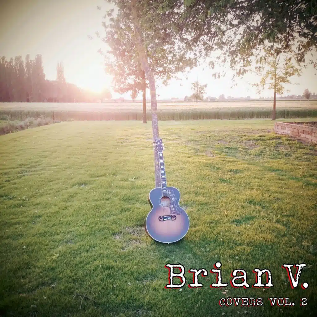 Covers, Vol. 2