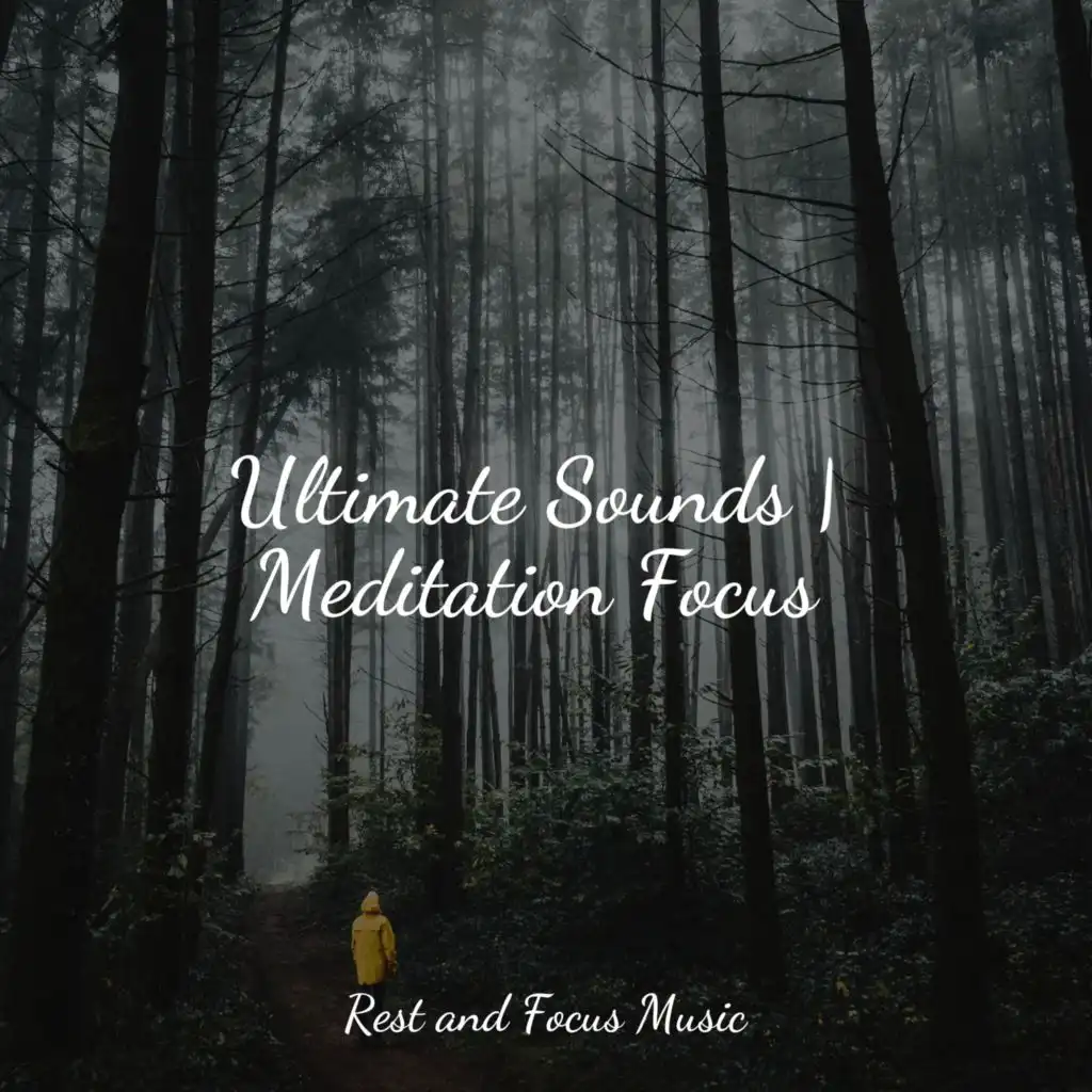 Ultimate Sounds | Meditation Focus