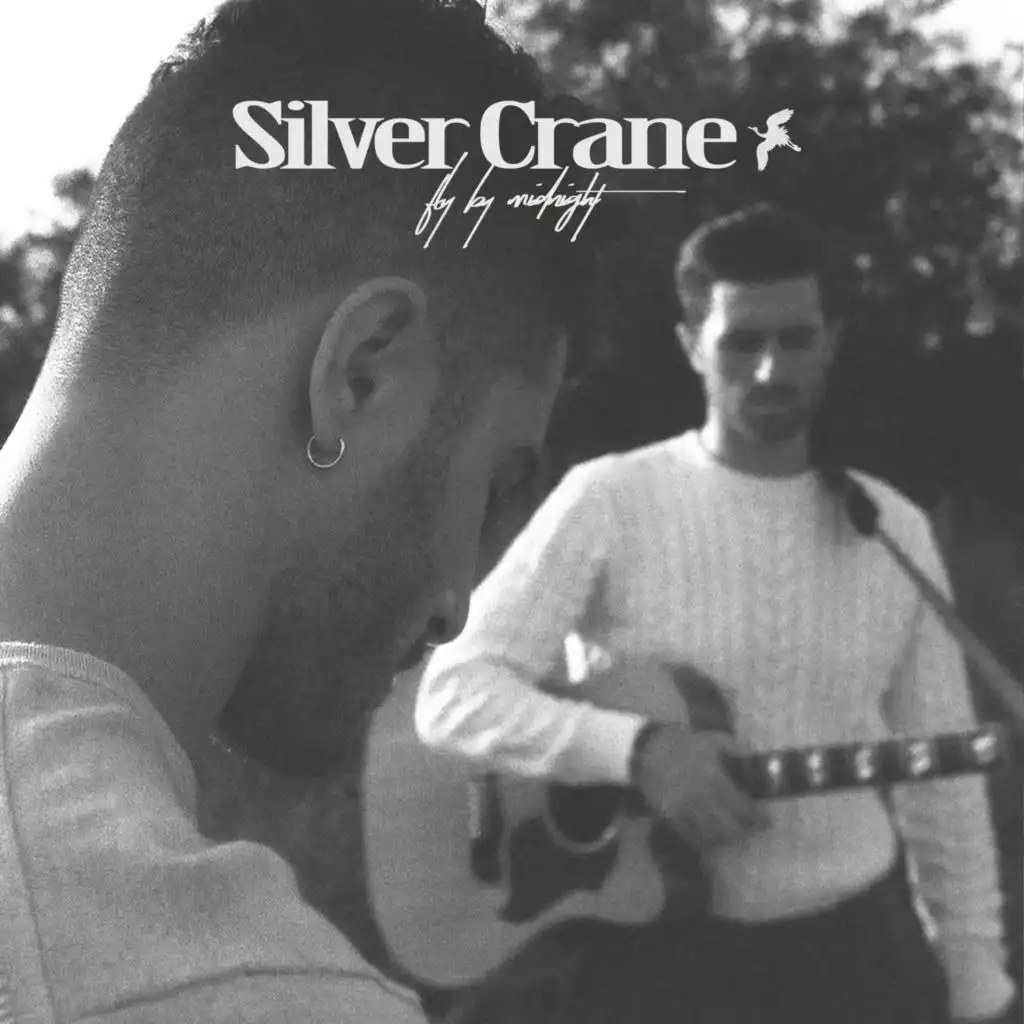 Silver Crane (The Acoustic Demos)