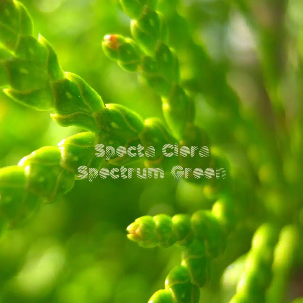 Spectrum Green