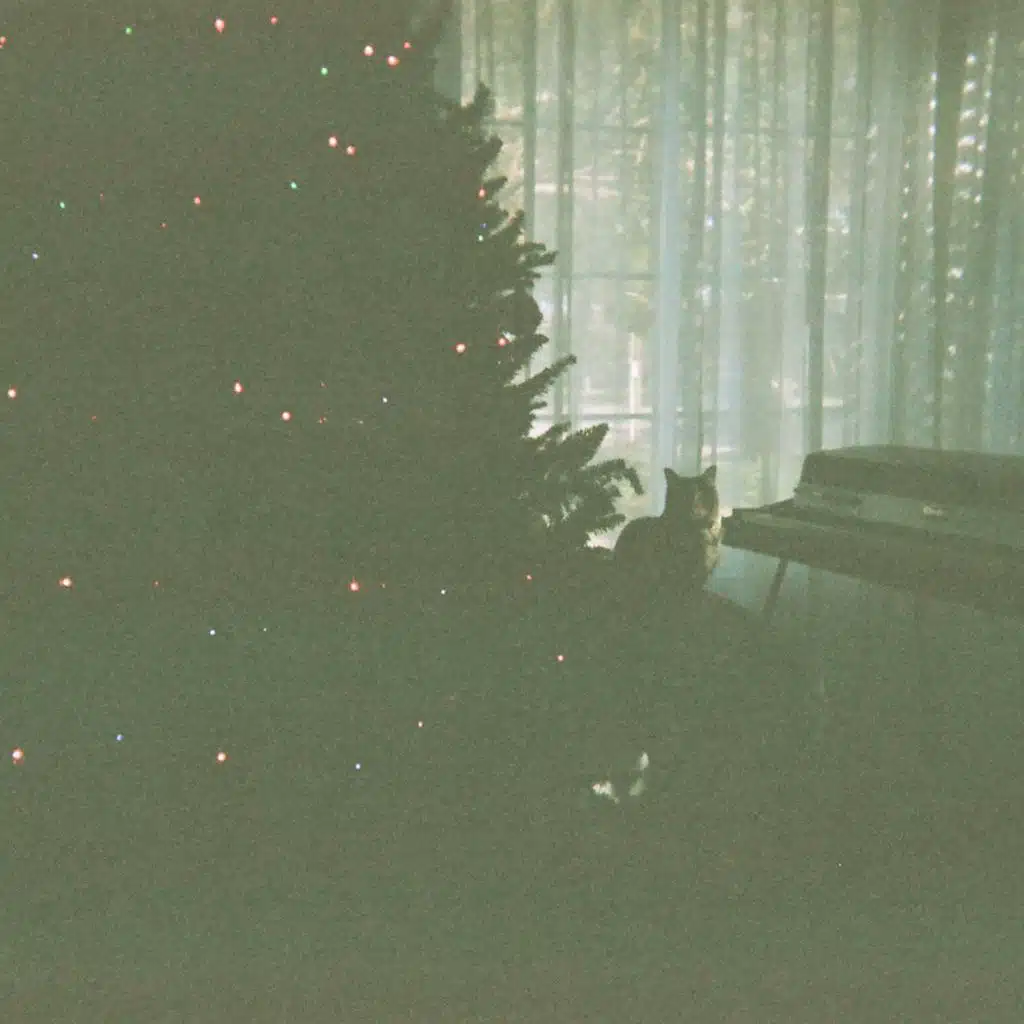 Broken Trust in Santa