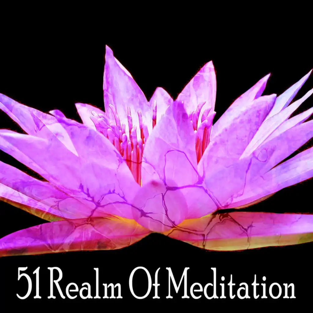 51 Realm Of Meditation