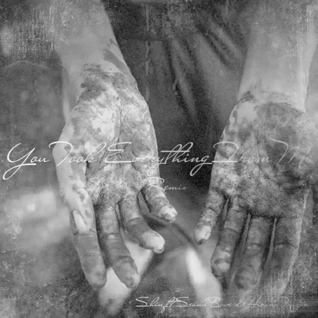 You Took Everything from Me (Remix) [feat. Seann Bowe & Hirano Touzan]