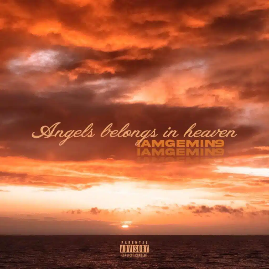 Angels Belongs In Heaven