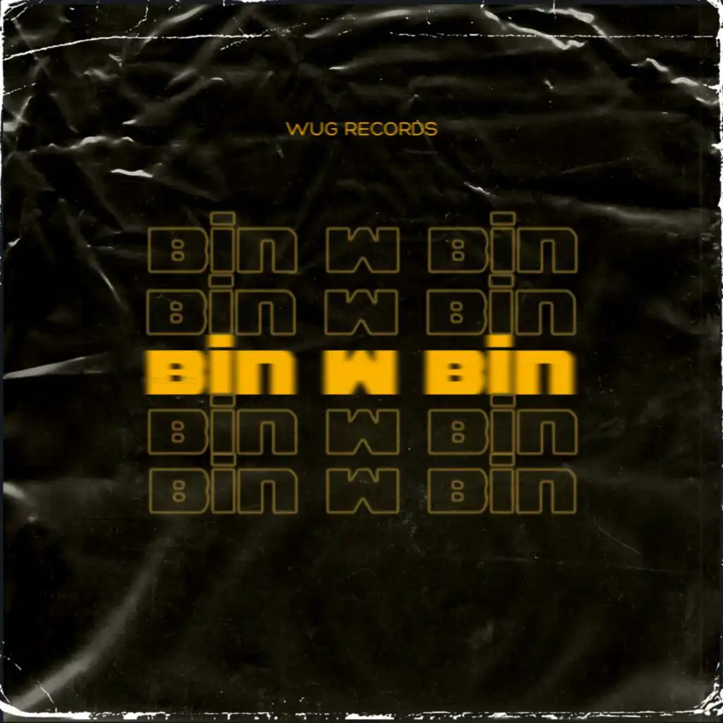 Bin w Bin