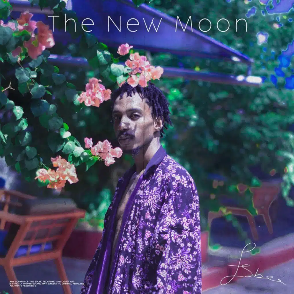 The New Moon
