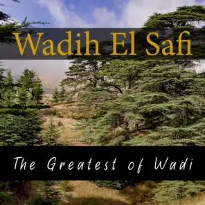 The Greatest of Wadi