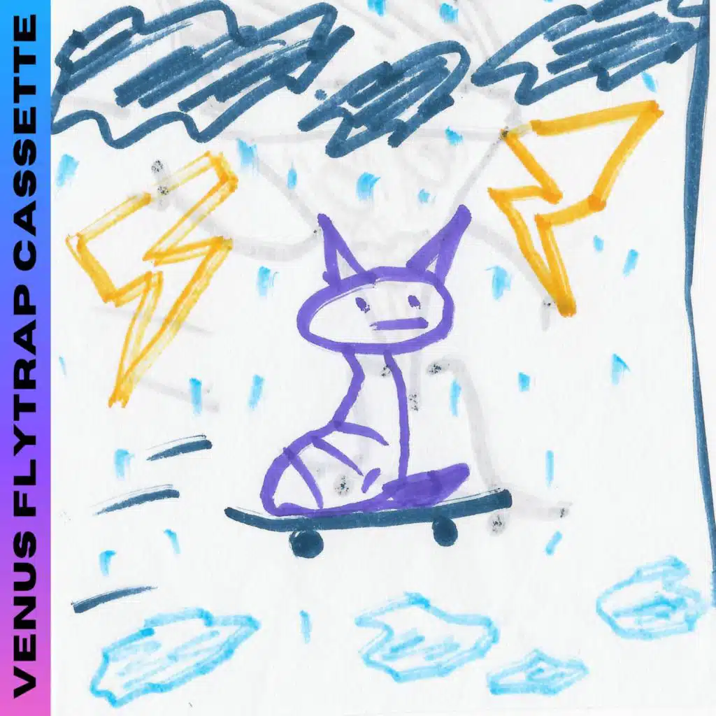 Cat on a Skateboard in a Storm