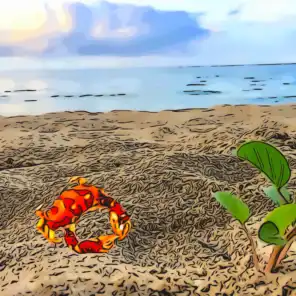 Crabs in the Sand