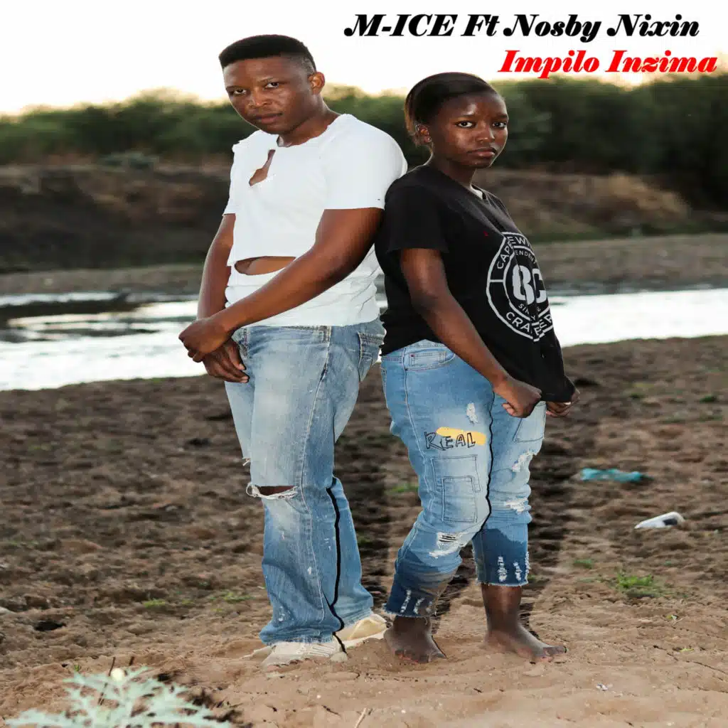 Impilo Inzima (feat. Nosby Nixin)