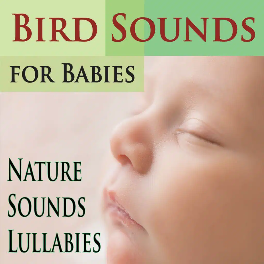 Bird Sounds for Babies Bedtime (Nature Sounds Lullabies)