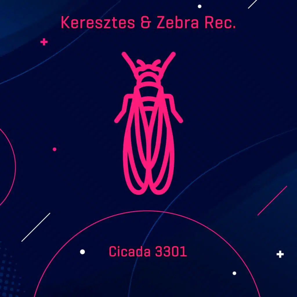 Cicada 3301