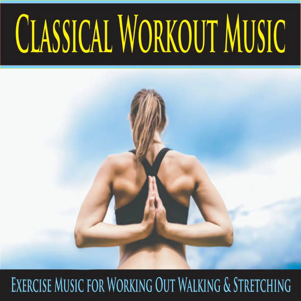 Pachelbel's Canon In D