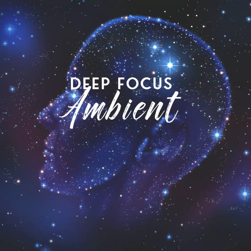 Study Ambient