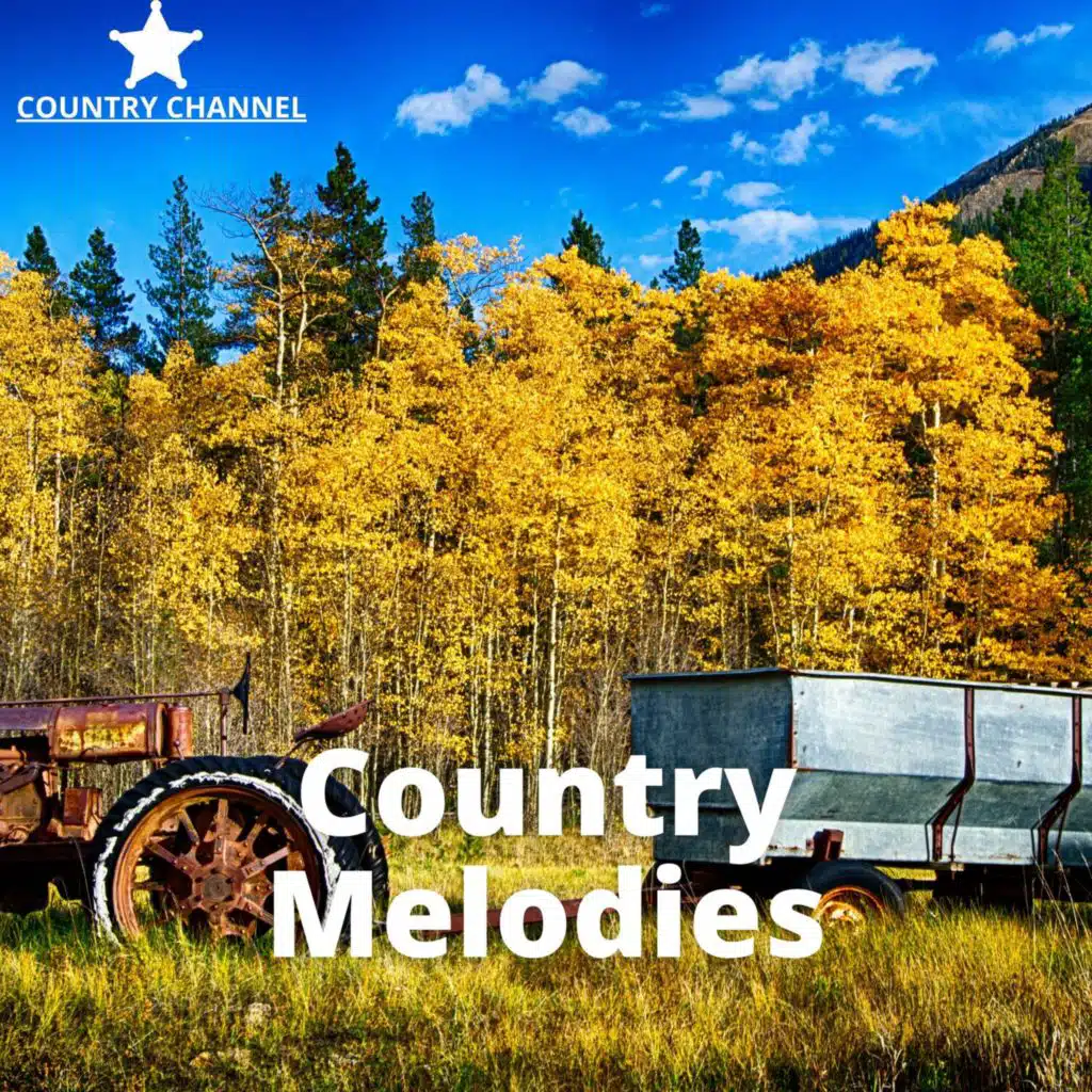 Beautiful Instrumental Country Melodies