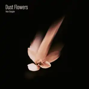 Dust Flowers