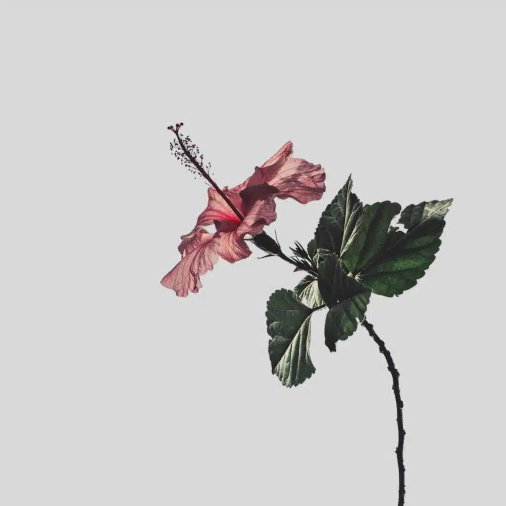 Tell Me Why I'm Waiting - Slowed