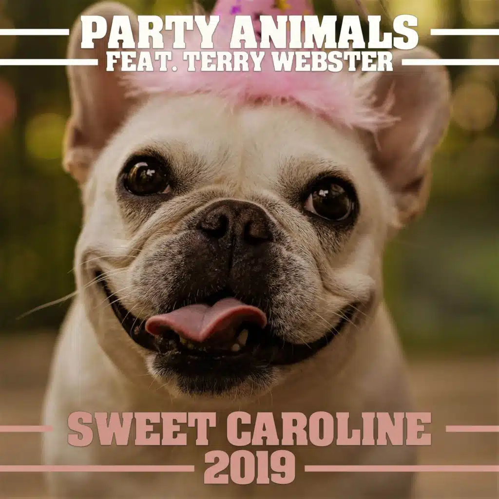 Sweet Caroline 2019 (feat. Terry Webster)