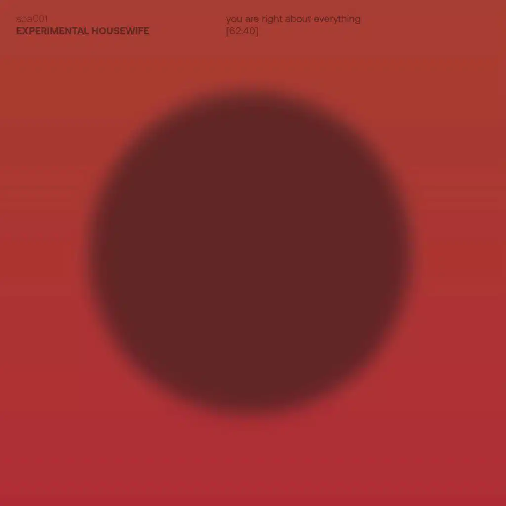 Experimental Housewife