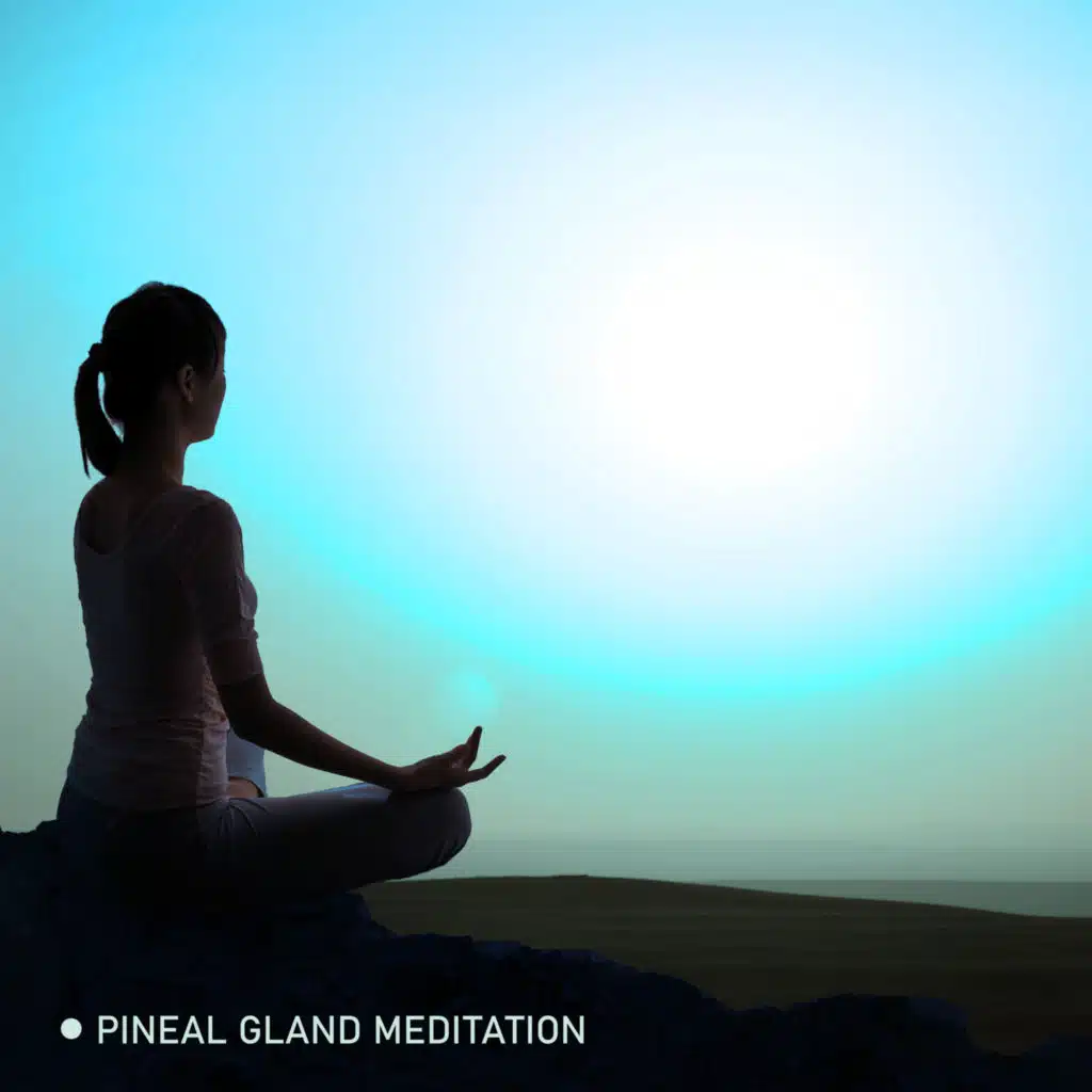 Meditation Music Zone & In Yoga Academy