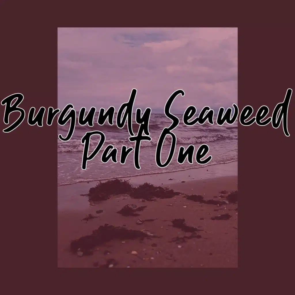 Burgundy Seaweed, Pt. 1