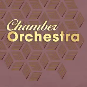 Suite No. 2 for Chamber Orchestra: II. Valse